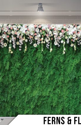 FernsAndFlowers