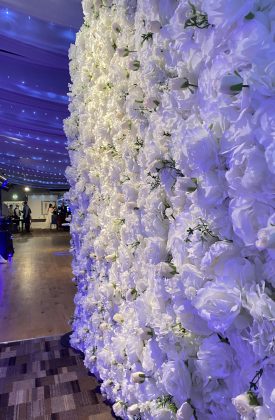 backdrops